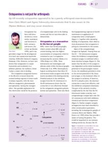 FEATURES  PN 17 Octopamine is not just for arthropods Up till recently octopamine appeared to be a purely arthropod neurotransmitter.