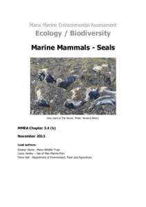 Manx Marine Environmental Assessment  Ecology / Biodiversity Marine Mammals - Seals  Grey seals at The Sound. Photo: Howard Peters.