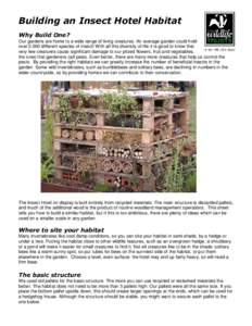 Pollinators / Insect hotel / Bee / Bumble bee / Pallet / Pollinator / Insect / Woodlouse / Aphid / Plant reproduction / Phyla / Protostome