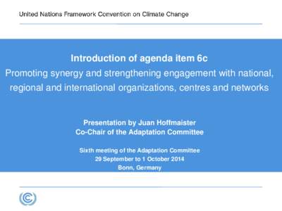 Introduction of agenda item 6c Promoting synergy and strengthening engagement with national, regional and international organizations, centres and networks Presentation by Juan Hoffmaister Co-Chair of the Adaptation Comm