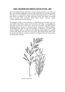 Lathyrus / 2PM / Food and drink / Physalis / Henhull / Bramhall / Hassall Green / Fruit / Geography of England / Bromus