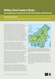 Building a Green Economy in Borneo:  Assessing Outcomes for Ecosystem Services under Different Business and Policy Decisions www.hobgreeneconomy.org Andy Dean, Amy Rosenthal, Nirmal Bhagabati, Kimberly Lyon, Emily McKenz