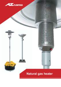 Gas heater / Energy / Natural gas / Technology / Mechanical engineering / Heaters / Home appliances / Fuel gas