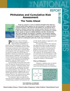 Phthalates and Cumulative Risk Assessment The Tasks Ahead People are exposed to a variety of chemicals throughout their daily lives. To protect public health, regulators use risk assessments to examine the effects of che