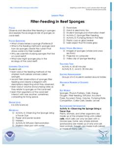 Microsoft Word - filter_feed_sponge_lesson.doc