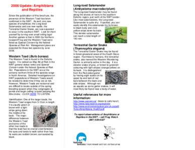 2006 Update: Amphibians and Reptiles