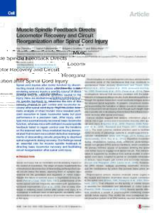 Article Muscle Spindle Feedback Directs Locomotor Recovery and Circuit Reorganization after Spinal Cord Injury Aya Takeoka,1,2,4 Isabel Vollenweider,3,4 Gre´goire Courtine,3,5 and Silvia Arber1,2,5,* 1Biozentrum,