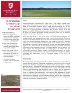 BURROWING SHRIMP AND INVASIVE EELGRASS BY THE NUMBERS More than 15 grower and