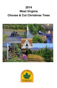 2014 West Virginia Choose & Cut Christmas Trees West Virginia Christmas Tree Growers Association