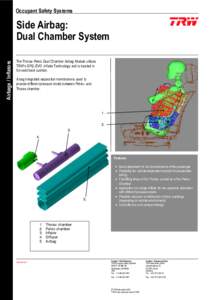 Occupant Safety Systems  Airbags / Inflators Side Airbag: Dual Chamber System