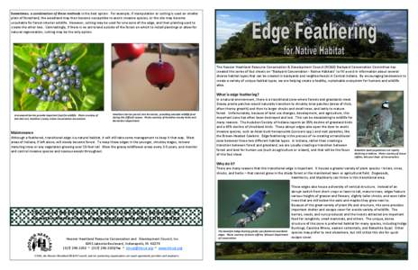 Edge Feathering Fact Sheet-final.pub