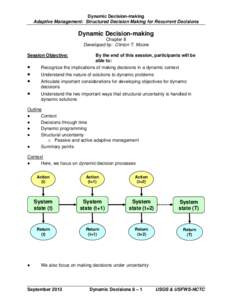 Microsoft Word - 08 Dynamic Decisions 2013.doc