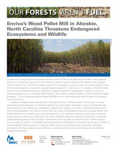 OUR FORESTS AREN’T FUEL. Enviva’s Wood Pellet Mill in Ahoskie, North Carolina Threatens Endangered Ecosystems and Wildlife © Matt Eich