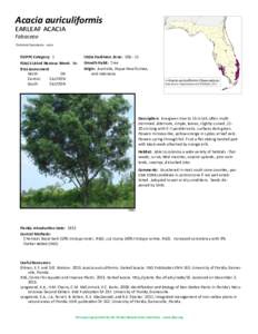 Acacia auriculiformis earleaf acacia Fabaceae Common Synonyms: none  FLEPPC Category: 1