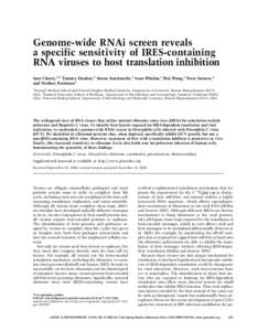 Genome-wide RNAi screen reveals a specific sensitivity of IRES-containing RNA viruses to host translation inhibition Sara Cherry,1,4 Tammy Doukas,2 Susan Armknecht,1 Sean Whelan,3 Hui Wang,1 Peter Sarnow,2 and Norbert Pe