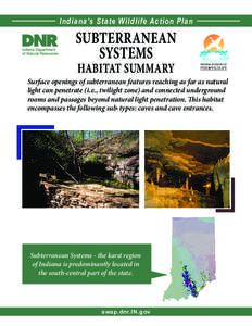 1  Indiana’s State Wildlife Action Plan SUBTERRANEAN SYSTEMS