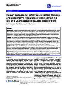 Human endogenous retroviruses sustain complex and cooperative regulation of gene-containing loci and unannotated megabase-sized regions