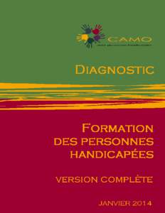 Diagnostic portant sur la situation de la formation des personnes handicapées Diagnostic sur la formation des personnes handicapées - Janvier 2014 Ce diagnostic a été réalisé par Sogémap inc. sous la direction 