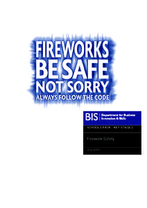 Firework Safety: Schools Pack - Key Stage 2