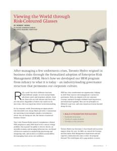 Viewing the World through Risk-Coloured Glasses By Robert Wong Vice President, Information Technology and Strategic Management, Toronto Hydro