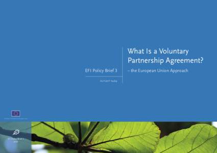 What Is a Voluntary Partnership Agreement? EFI Policy Brief 3 – the European Union Approach