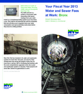 $228 million to install an Automated Meter Reading (AMR) network throughout New York City The AMR network is a system of low-power radio