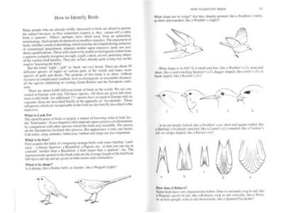 Phylogeny of the Paridae (tits and chickadees) based on Mitochondrial Cytochrome-B gene. From Gill etalThe Auk 122, 121–143. UK Ringing legal framework