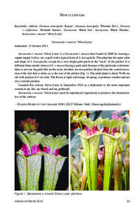 Carnivorous Plant Newsletter vol43 no1 March 2014