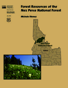 Whitebark Pine / Tree / Wallowa–Whitman National Forest / Nez Perce people / Temperate coniferous forests / Coast of British Columbia / Bitterroot National Forest / Northwoods / Flora of the United States / Western United States / Geography of the United States