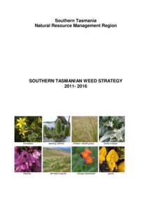 Southern Tasmania Natural Resource Management Region SOUTHERN TASMANIAN WEED STRATEGY[removed]