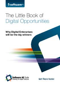 The Little Book of Digital Opportunities Why Digital Enterprises will be the big winners  Get There Faster