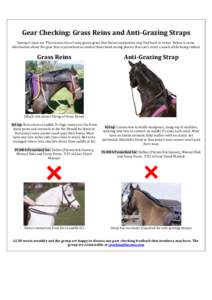 . Gear Checking: Grass Reins and Anti-Grazing Straps Spring is upon us. That means lots of tasty green grass that horses and ponies may find hard to resist. Below is some information about the gear that is permitted to c