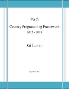 Country Programming Framework