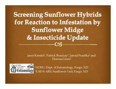 Microsoft PowerPoint - Screening Sunflower Hybrids for Reaction to Infestation by Sunflower Midge - Knodel.pptx