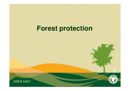 Forest protection  COFO 2007 Forest health • Invasive species