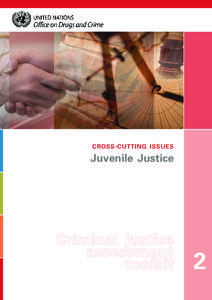 CROSS-CUTTING ISSUES  Juvenile Justice Criminal justice assessment