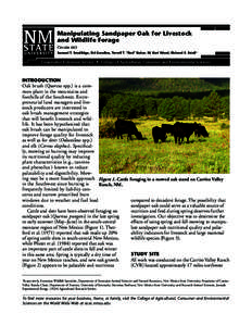 Manipulating Sandpaper Oak for Livestock and Wildlife Forage Circular 663 Samuel T. Smallidge, Sid Goodloe, Terrell T. “Red” Baker, M. Karl Wood, Richard E. Estell1  Cooperative Extension Service • College of Agric