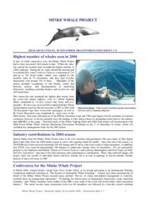 MINKE WHALE PROJECT  RESEARCH UPDATE, 30 NOVEMBER[removed]INFORMATION SHEET # 7) Highest number of whales seen in 2004 Photo by Ross Miller