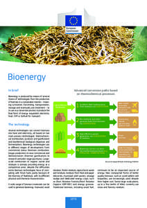 Bioenergy In brief Bioenergy is produced by means of several chains of technologies from the production of biomass in a sustainable manner – meaning cultivation, harvesting, transportation, storage and eventually pre-t