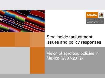 Smallholder adjustment: issues and policy responses Vision of agrofood policies in Mexico[removed])  “Mexico’s rural sector vision goes beyond an increase in