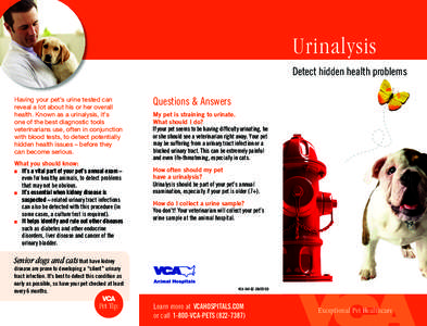 Urinalysis Detect hidden health problems Having your pet’s urine tested can reveal a lot about his or her overall health. Known as a urinalysis, it’s one of the best diagnostic tools