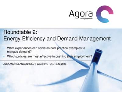 Roundtable 2: Energy Efficiency and Demand Management • What experiences can serve as best practice examples to manage demand? • Which policies are most effective in pushing their employment? ALEXANDRA LANGENHELD | W
