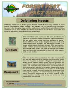 Defoliating Insects Defoliating insects are a diverse group of forest insects that are very common in Idaho forests. Defoliators eat foliage (needles), and damage can vary depending on the species. Larvae are the damagin