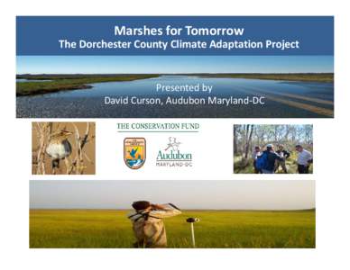 Marshes for Tomorrow The Dorchester County Climate Adaptation Project Technical Advisory Meeting Presented by David Curson, Audubon Maryland‐DC