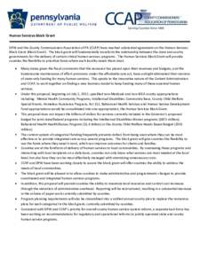 Human Services Block Grant DPW and the County Commissioners Association of PA (CCAP) have reached substantial agreement on the Human Services Block Grant (Block Grant). The block grant will fundamentally transform the re