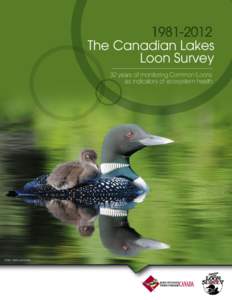 The Canadian Lakes Loon Survey 32 years of monitoring Common Loons as indicators of ecosystem health  Photo: Mark Lachovsky