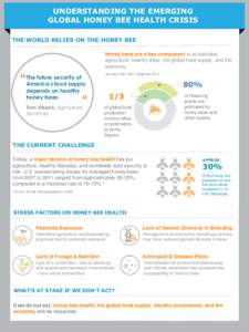 UNDERSTANDING THE EMERGING GLOBAL HONEY BEE HEALTH CRISIS THE WORLD RELIES ON THE HONEY BEE Honey bees are a key component to sustainable agriculture, healthy diets, the global food supply, and the economy.