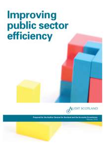 Improving public sector efficiency Prepared for the Auditor General for Scotland and the Accounts Commission February 2010