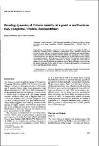 HOLARCTIC ECOLOGY 12: Breeding dynamics of IViturus carnifex at a pond in northwestern Italy (Amphibia, Urodela, Salamandridae) Franco Andreone and Cristina Giacoma