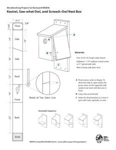 Woodworking Projects for Backyard Wildlife  Kestrel, Saw-whet Owl, and Screech-Owl Nest Box 7 3/4